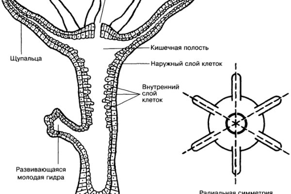 Кракен браузер ссылка