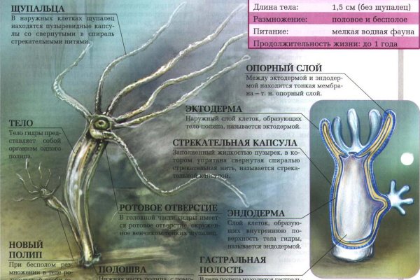 Ссылка кракен магазин